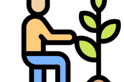 ayetama conseil agricole 1 250x165 1.png