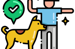 ayetama dresseur de chien 1 250x165 1.png