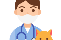 ayetama veterinaire 1 250x165 1.png